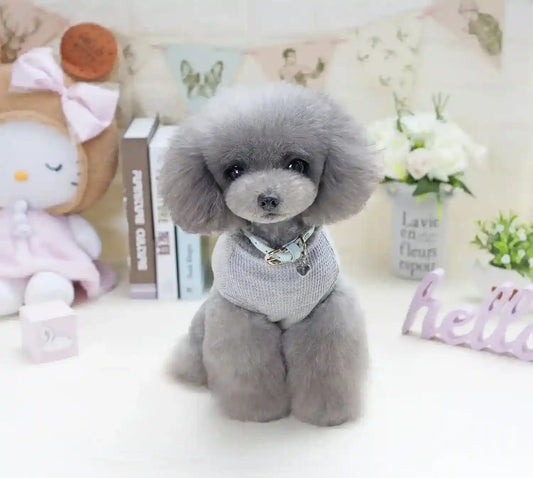 Maglietta per cani in cotone "Dog Baby" by Dog Moda