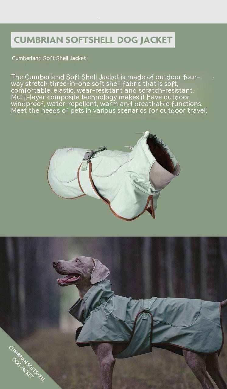 Cumbrian softshell dog jacket on a gray dog in outdoor forest setting, waterproof and windproof