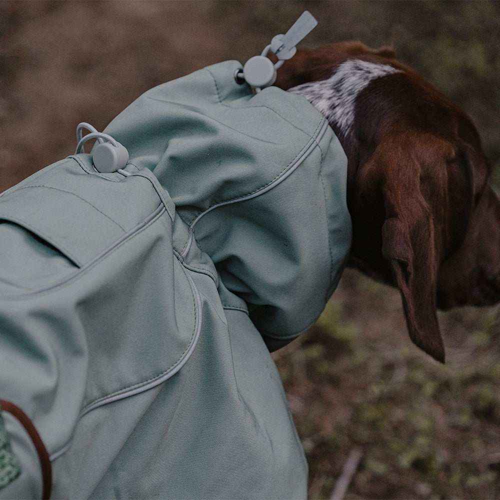 Brown dog wearing a light gray waterproof jacket outdoors in natural setting