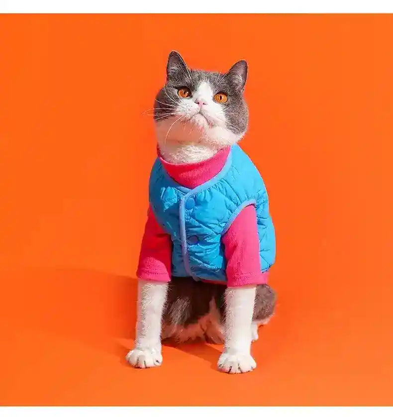 Gilet Pile Gatti Cani - Caldo Smanicato Azzurro Verde by Dog Moda