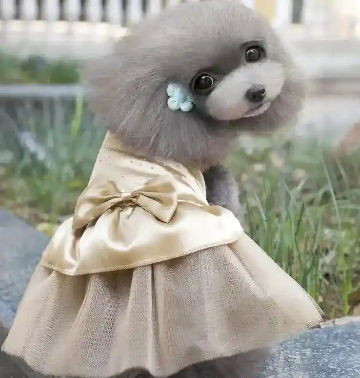 Vestito da cerimonia per cani in raso "Cleopatra" by Dog Moda