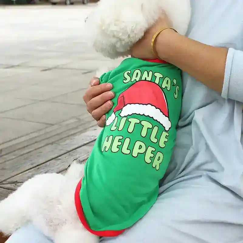 Small white dog wearing green Santa's Little Helper Christmas shirt held by person in light blue outfit