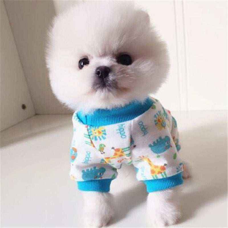 Cute white Pomeranian puppy wearing colorful animal-print dog pajamas on white surface