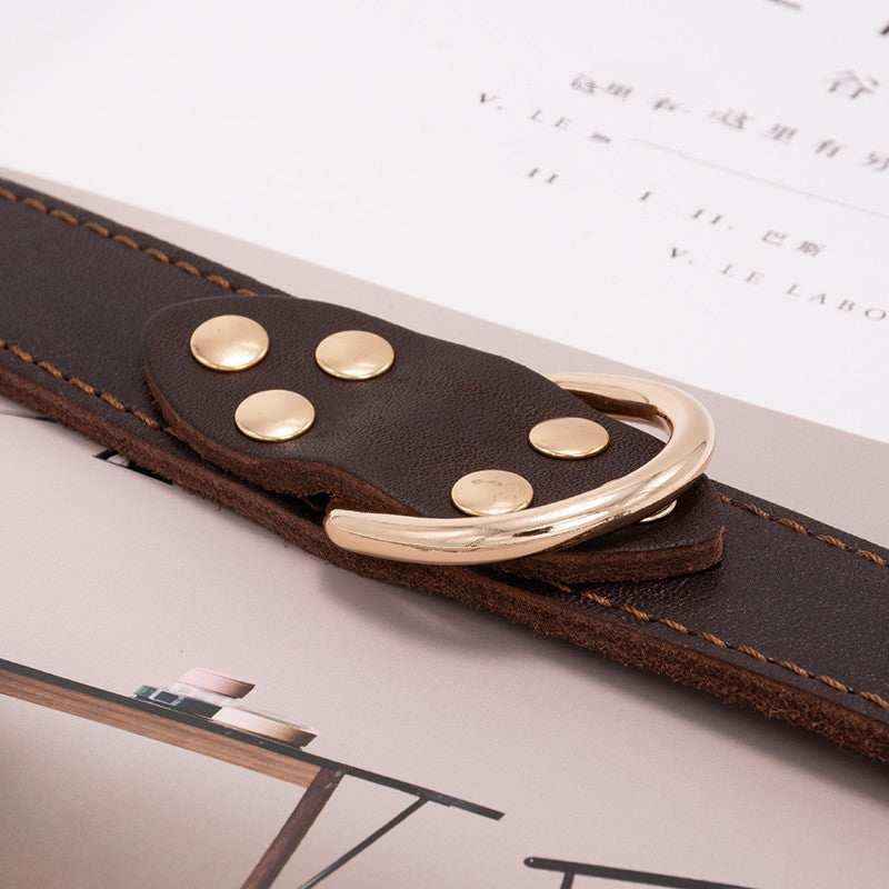 Collare in Cuoio per Cani "Pawstrip" con Borchie - Elegante e Resistente by Dog Moda