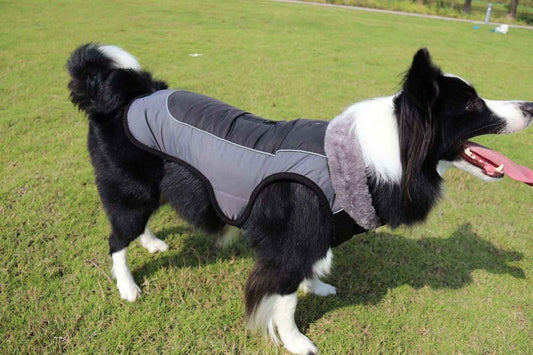 Cappotto Imbottito per Cani con Foro Pettorina | Riflettente ed Elegante by Dog Moda