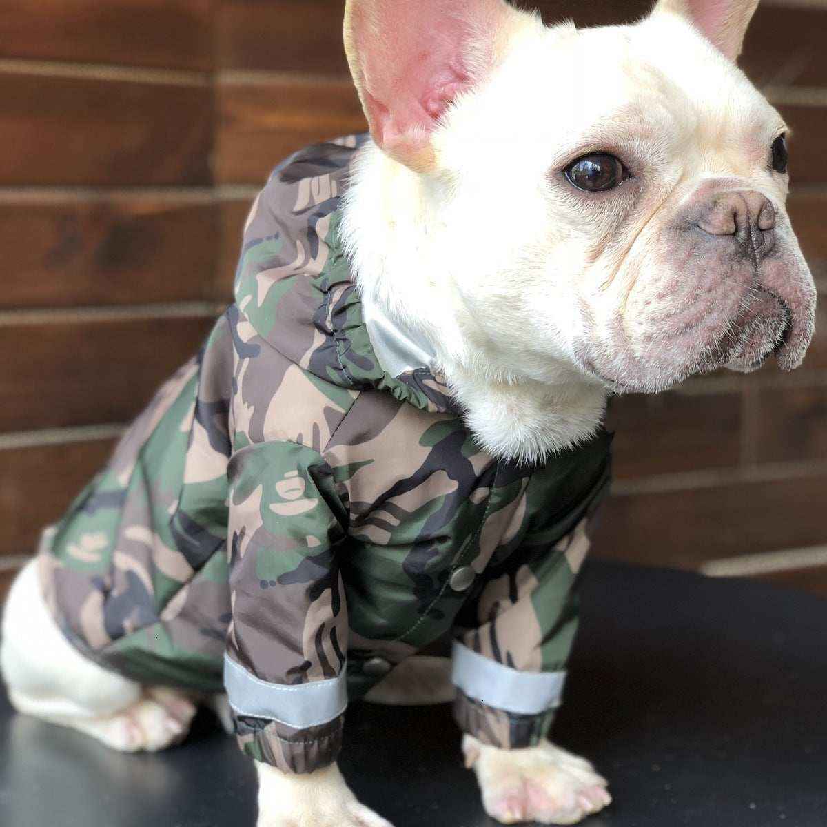 Impermeabile per cani e Bulldog francese riflettente "Manaus" by Dog Moda