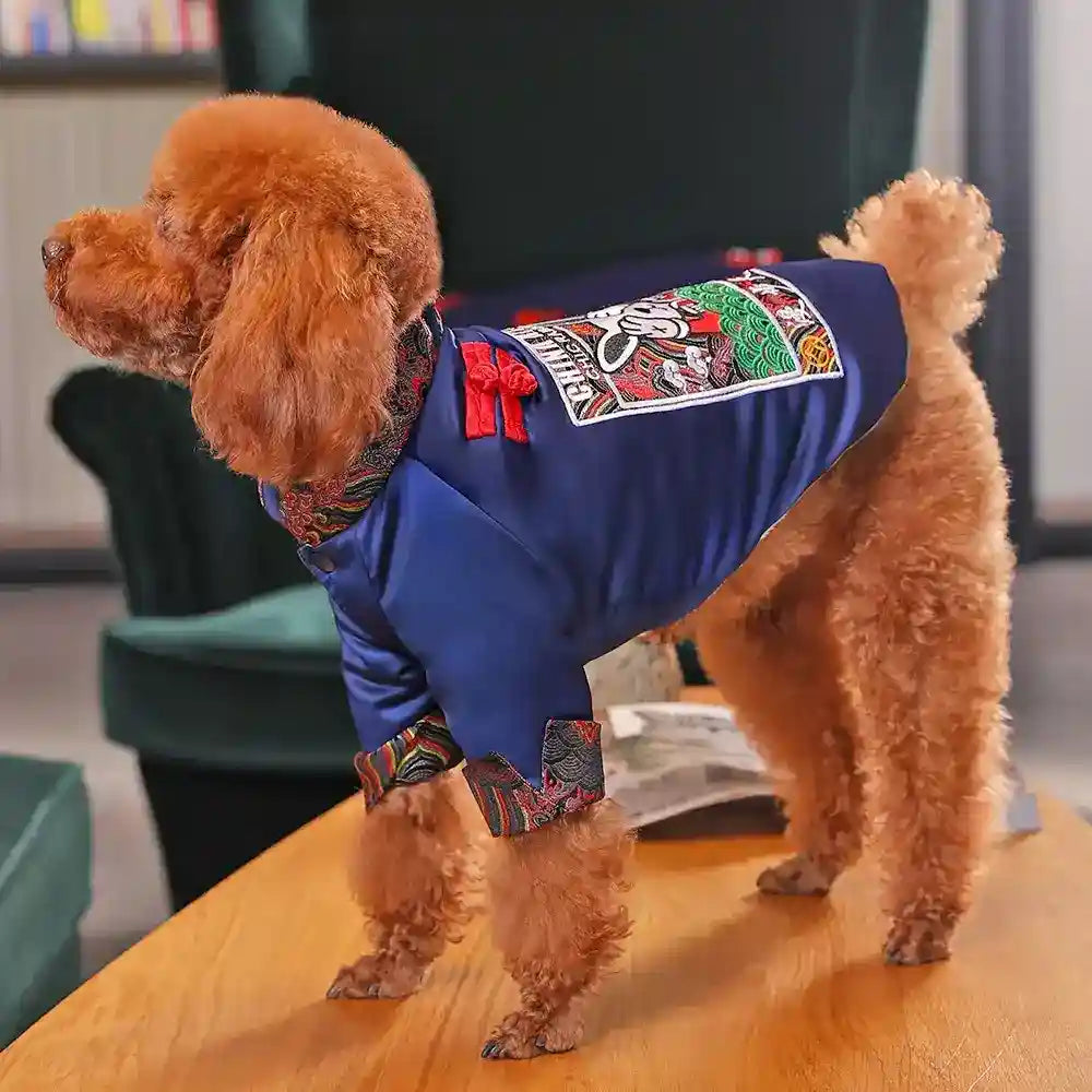 Red toy poodle wearing blue traditional Chinese outfit with colorful embroidery on a wooden table