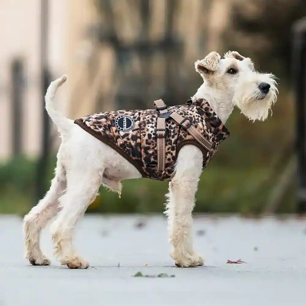 Cappotto Impermeabile Cani Comet Leopardato con Pettorina by Dog Moda