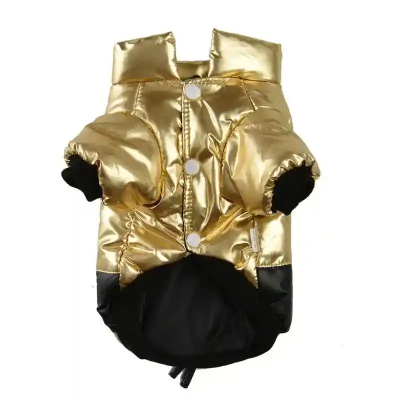 Gold metallic quilted dog jacket with black lining and white snap buttons