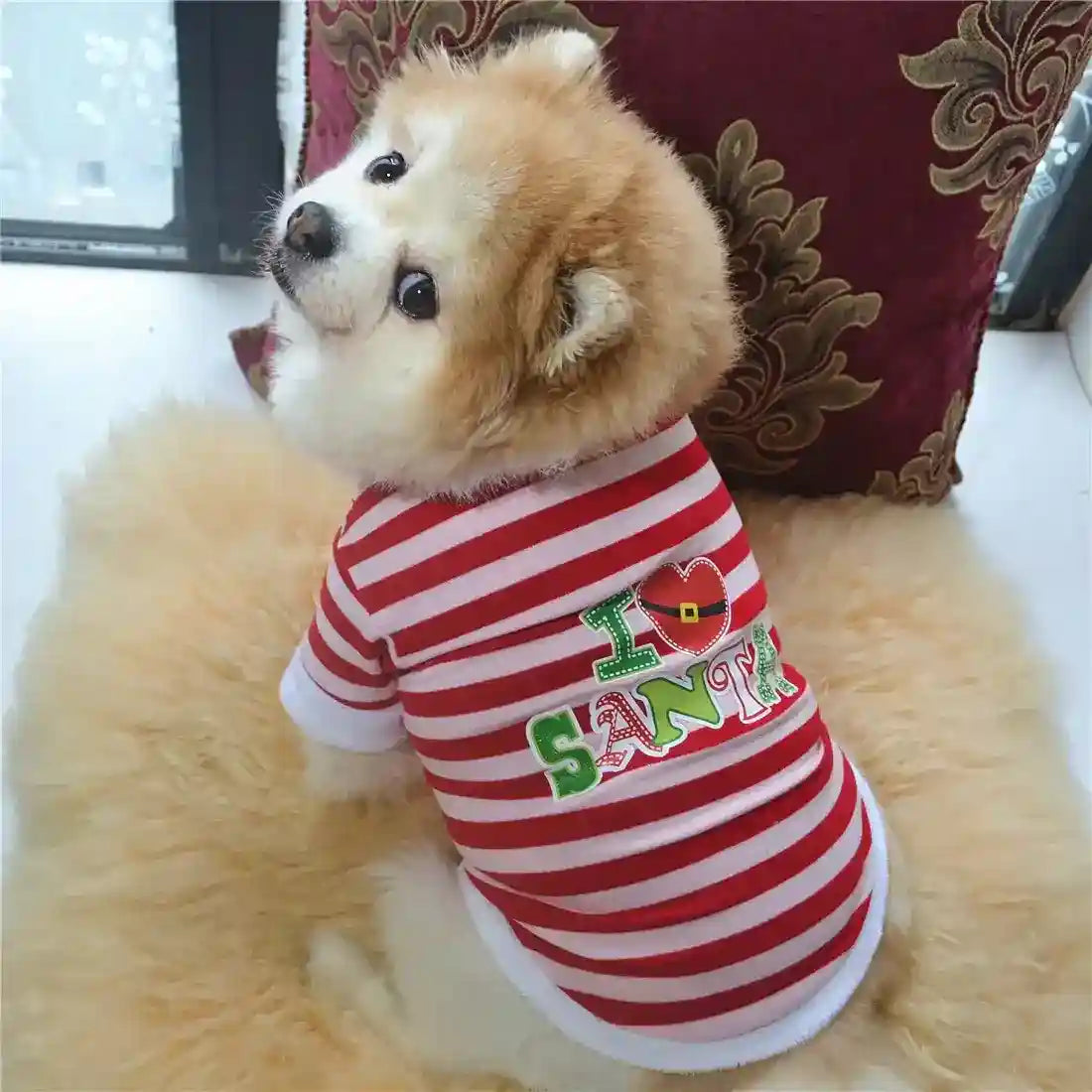 Christmas Sweater for Dogs – Christmas New Holiday Dress – Dog Moda Christmas Sweater for Dogs – Christmas New Holiday Dress – Dog Moda