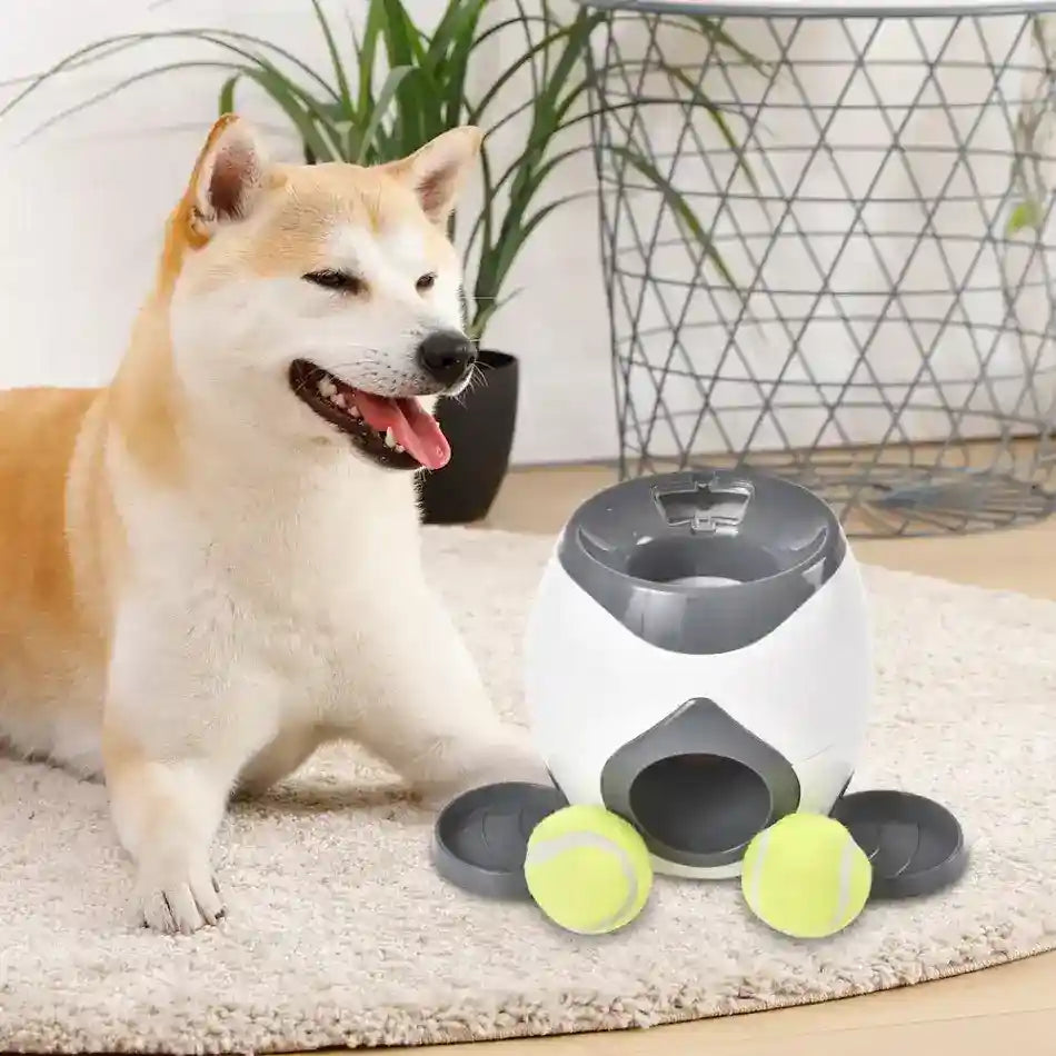 Lanciatore Palline Automatico per Cani - Interattivo by Dog Moda