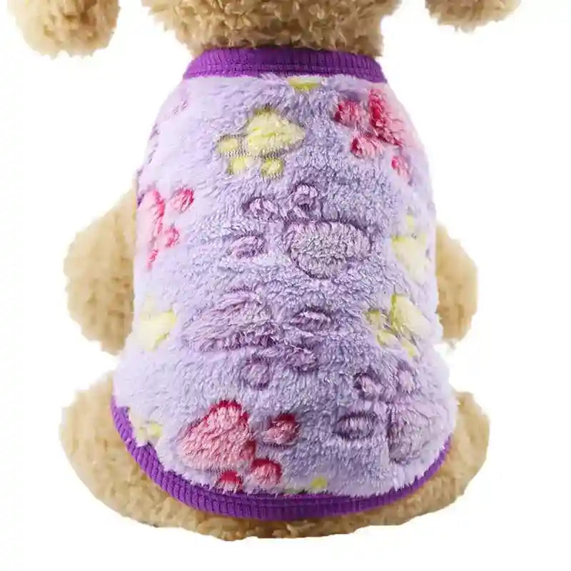 Small dog wearing soft purple fleece sweater with colorful paw prints and pink trim