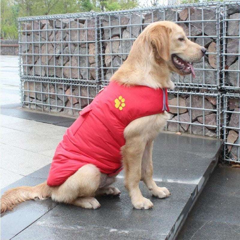 Cappotto Invernale per Cani Retriever - Cotone con Pettorina Integrata