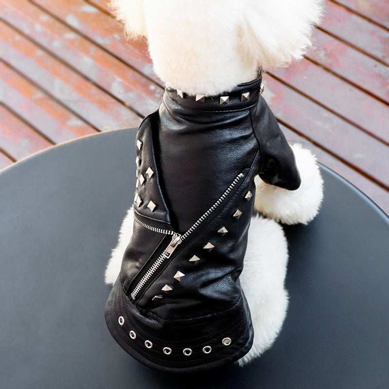 Leather Dog Jacket "Grease"