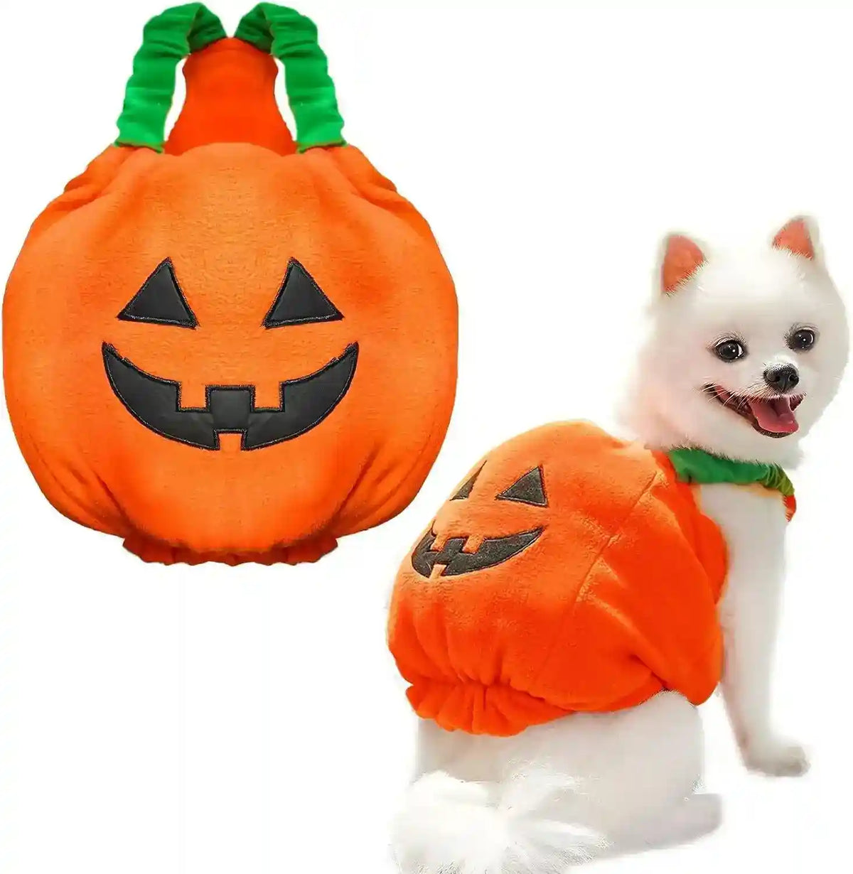 White dog wearing orange Halloween pumpkin costume with black jack-o-lantern face and green collar