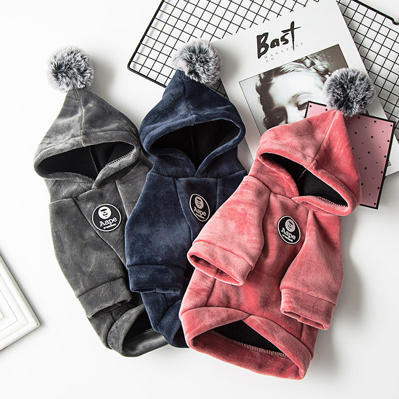 Dog Hoodie Ponpon "Bee"