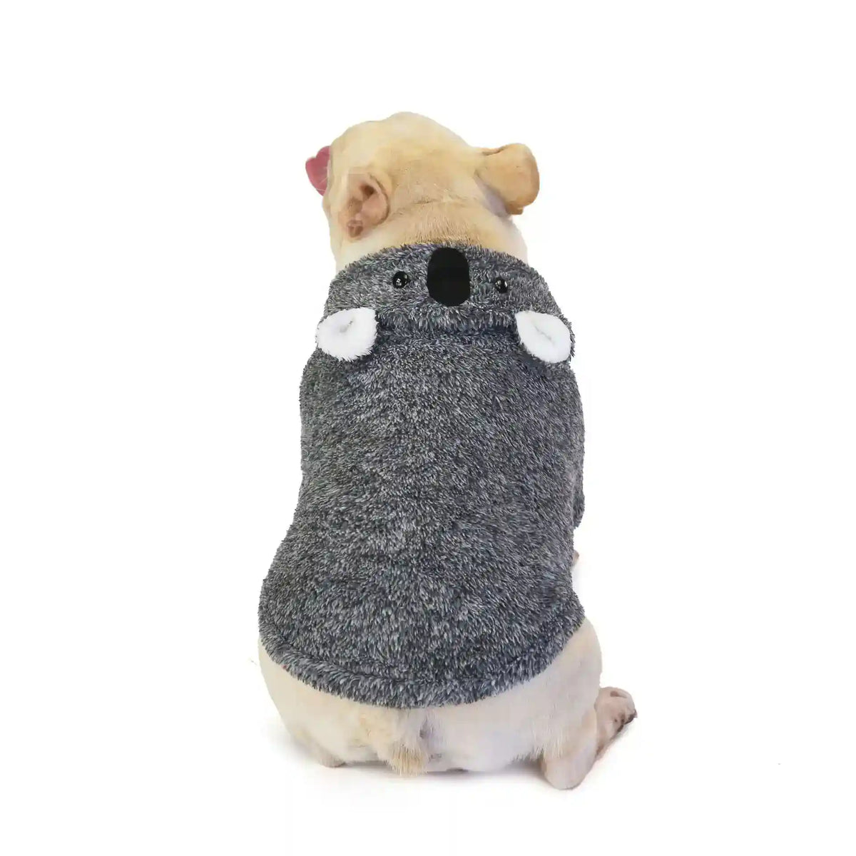 Small dog wearing a gray koala-themed fuzzy sweater sitting on white background