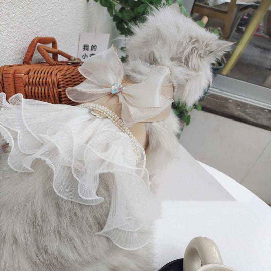 Fluffy gray cat wearing a white frilly collar with pearl and beige ribbon bow, sitting on a white table