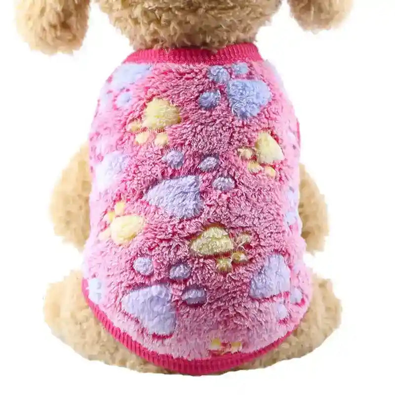 Small dog wearing soft pink fleece sweater with colorful paw print patterns