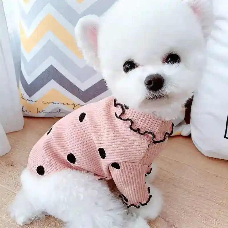 Small white fluffy dog wearing pink polka dot sweater sitting on wooden floor near chevron pillow