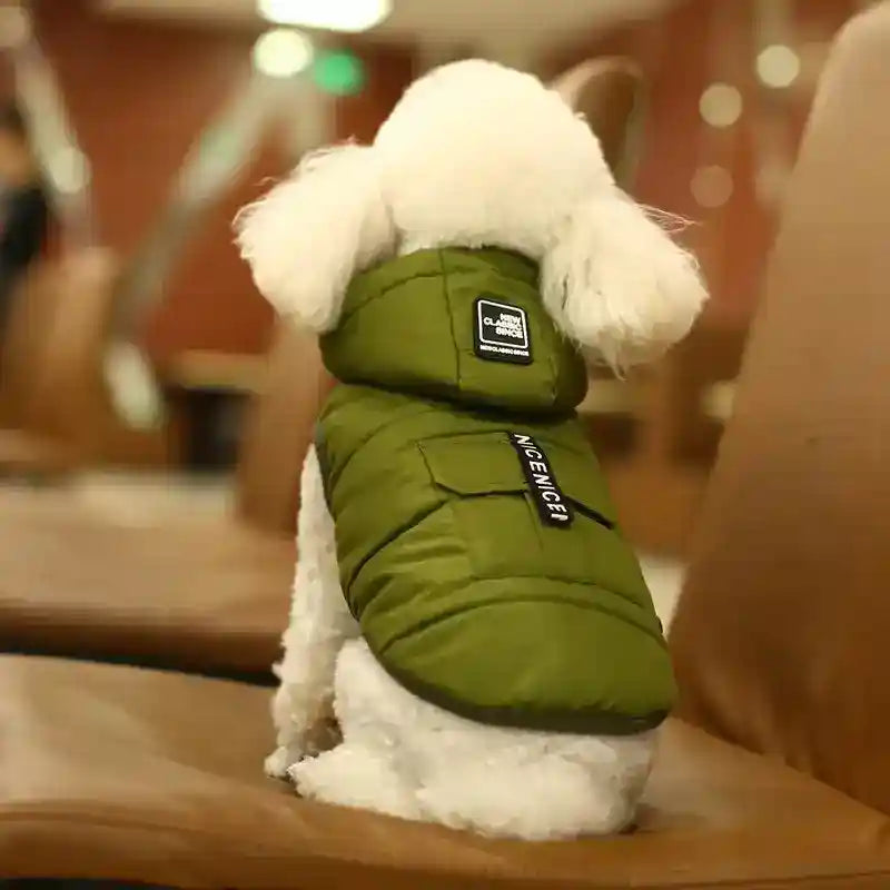 Piumino per Cani con Cappuccio Removibile "Nice" Tasca Decorativa by Innopet