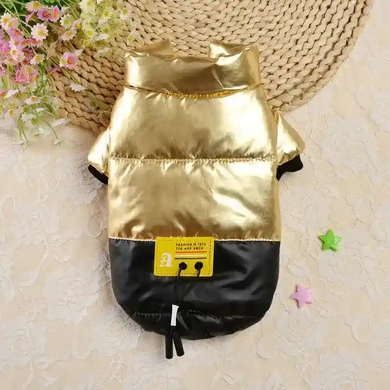 Gold and black shiny dog jacket with yellow label on lace fabric background with flowers and star-shaped decor