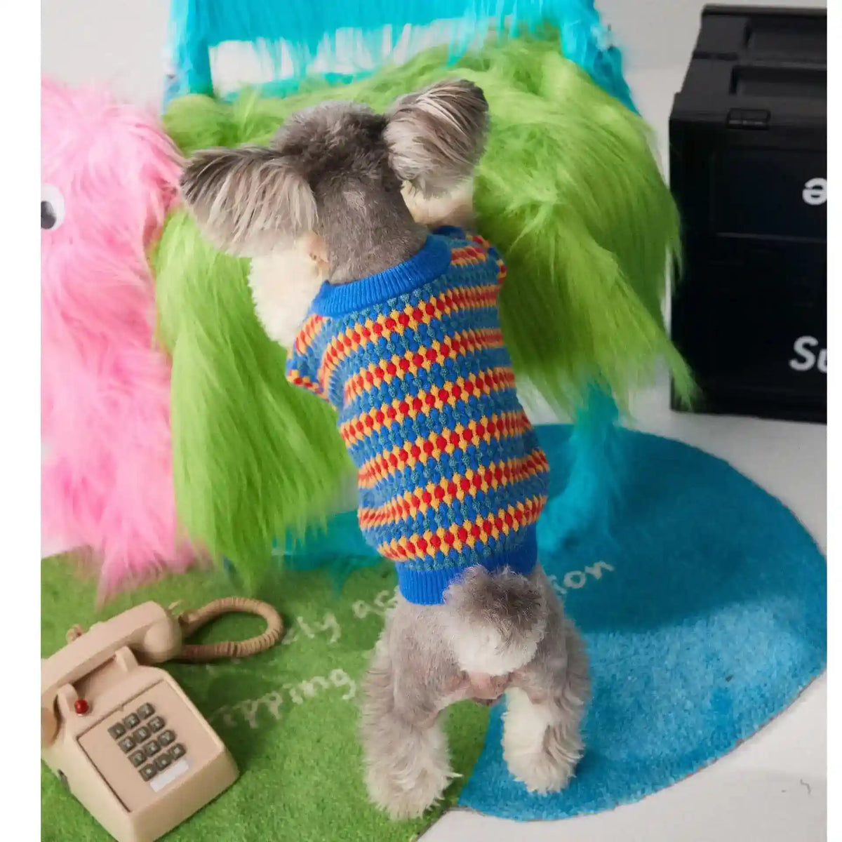 Maglioncino per Cani Pamplona | Colori Vivaci e Rombi Gialli, Rossi e Blu by Dog Moda
