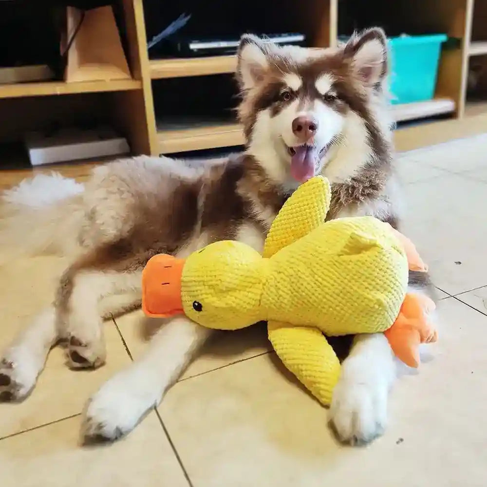 Gioco per Cani in Peluche "Paperotto" – Tessuto Resistente e Sonoro by Dog Moda