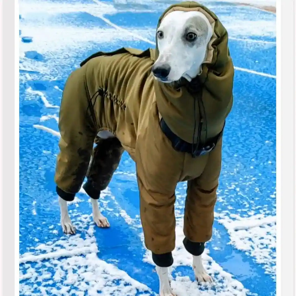 Cappotto Levrieri Galgo Español - 4 Zampe Imbottito Pile by Dog Moda