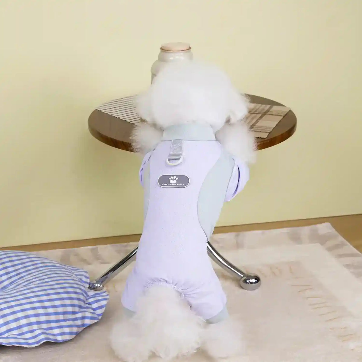 Tutina per Cani 4 Zampe Silk - Seta Glacé Traspirante con Guinzaglio by Dog Moda