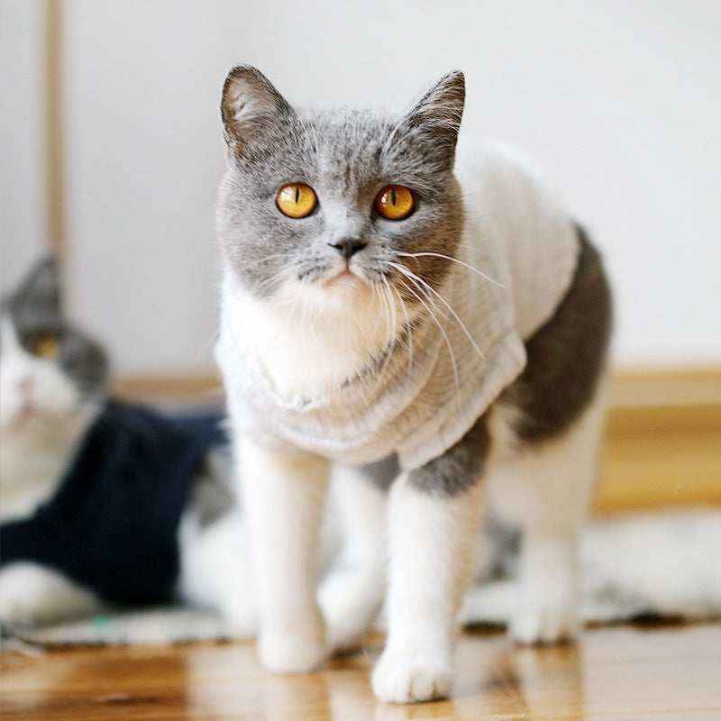 Maglione per Gatti – Morbido, Caldo e Disponibile in Tante Fantasie by Dog Moda