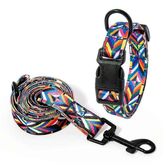 Set Collare e Guinzaglio per Cani - Modello "Bohemian" by Dog Moda