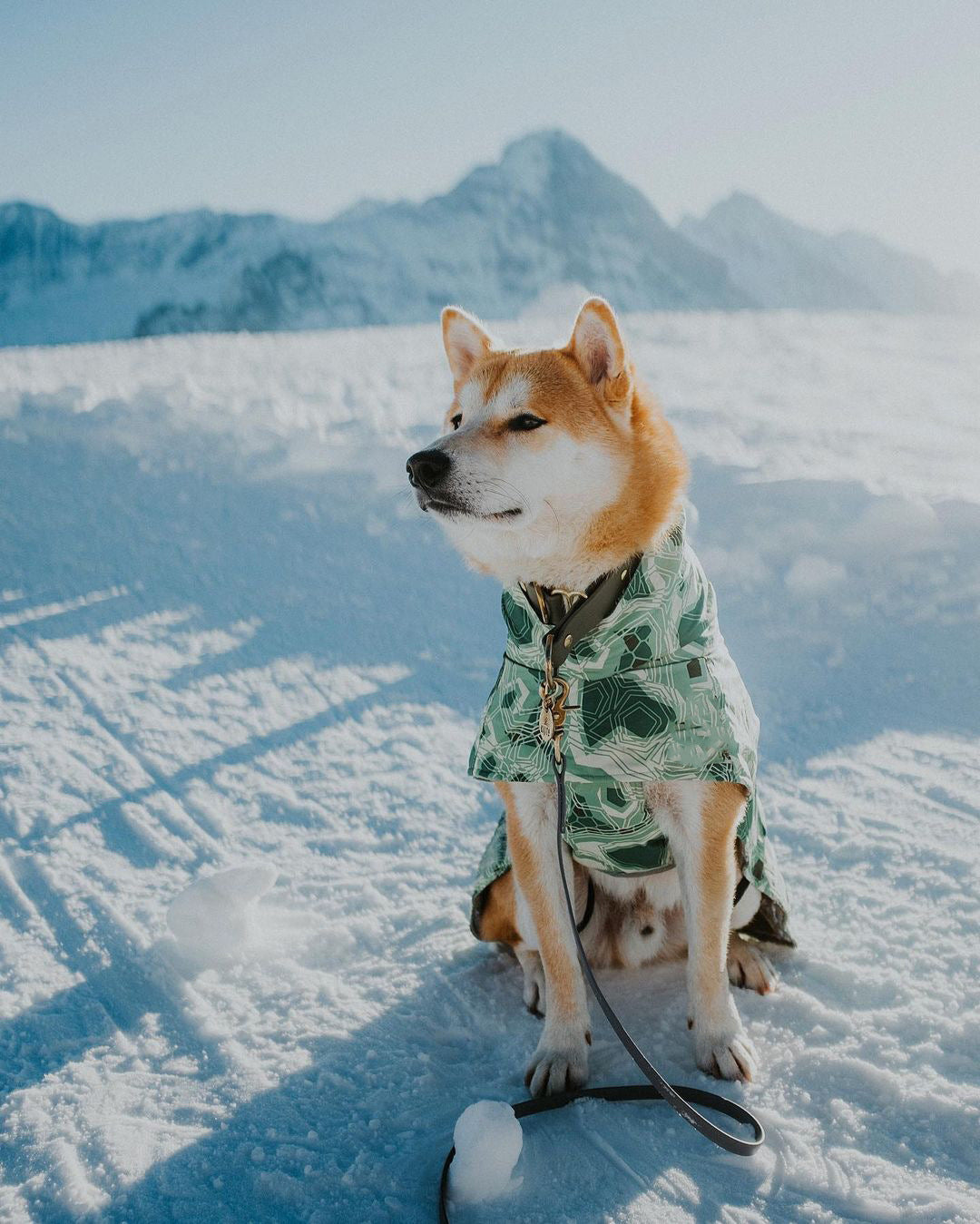 Cappotto trapuntato per cani "North Ice" – Protezione termica per le escursioni invernali