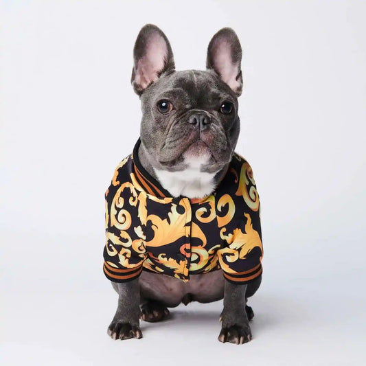 Giacca Antivento per Cani Stile Versace "The King" – Eleganza e Protezione per il Tuo Amico a Quattro Zampe by Dog Moda