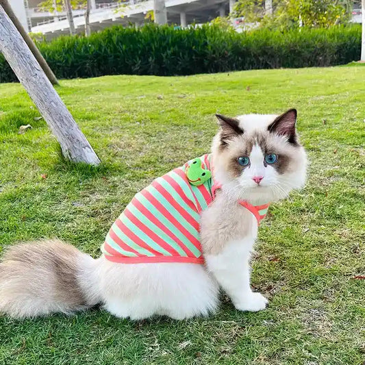 Maglia in cotone per gatti a righe con panda o rana | DogModa by Dog Moda