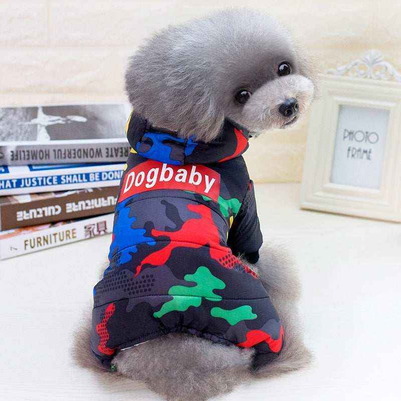 Gray poodle wearing colorful camouflage Dogbaby jacket sitting indoors next to books and white photo frame