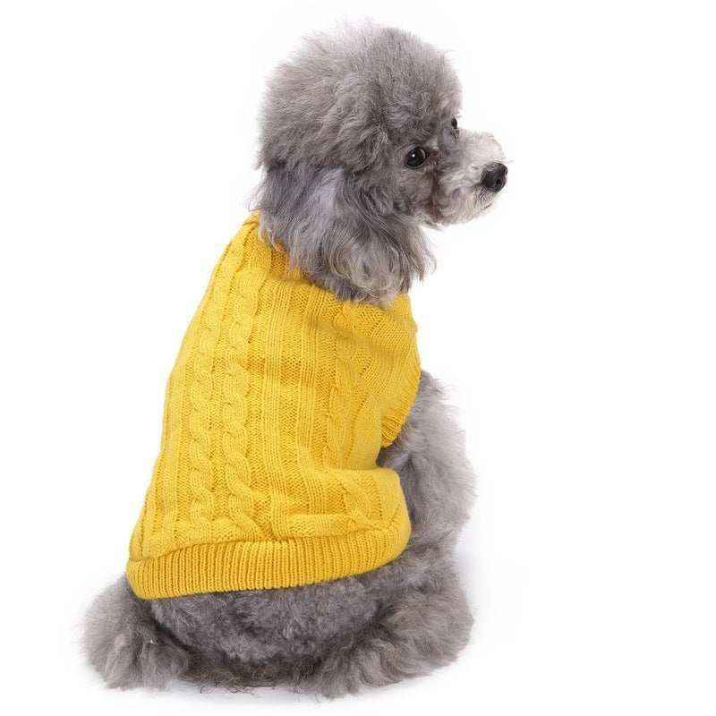 Gray poodle wearing a yellow cable knit sweater sitting and looking back against a white background