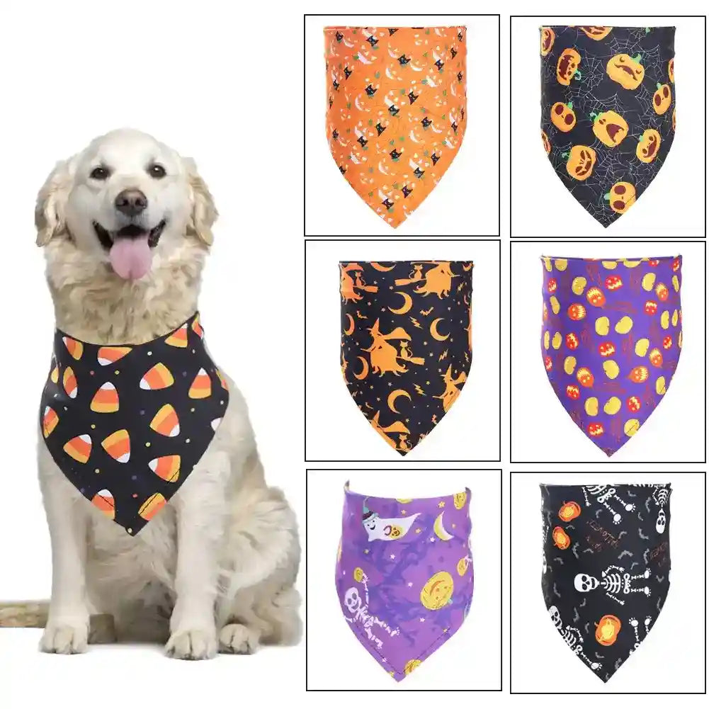 Pettorina Spaventosa di Halloween per Can - Dog Moda