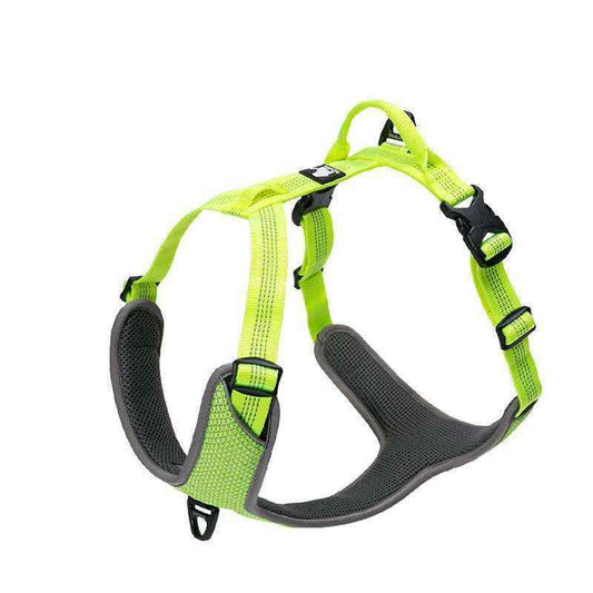 Pettorina Imbottita per Cani "Comfort Safe" - Dog Moda