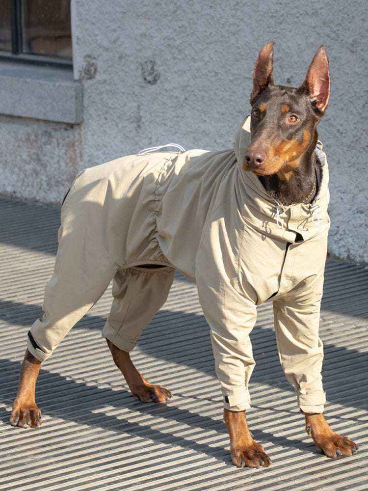 Impermeabile per cani a quattro zampe con cappuccio - foto 2