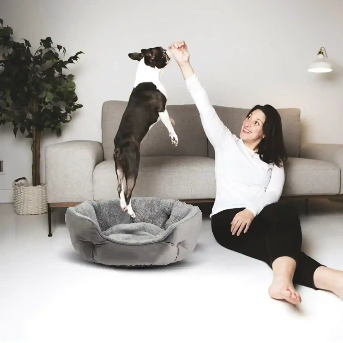 Cuccia Tonda “Nido di Coccole” per Cani Piccoli e Medi by Dog Moda