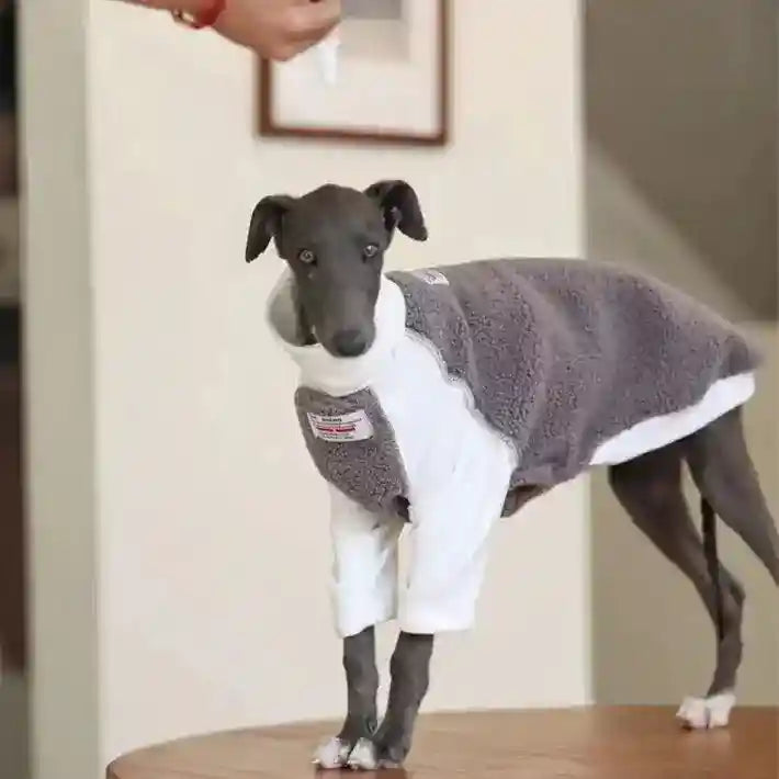 Maglia in Pile per Levrieri "Metropolitan" - Elegante e Calda by Dog Moda