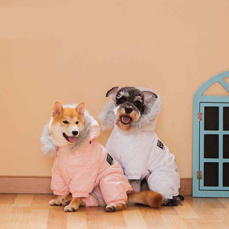 Shiba Inu and Schnauzer dogs wearing pink and white winter coats with fur-lined hoods indoors