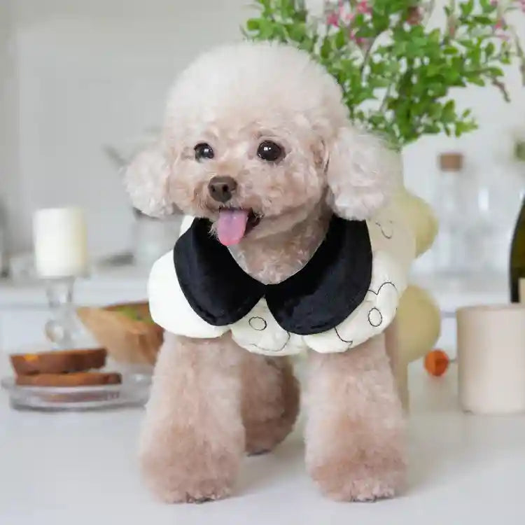 Cappotto Cani Apricot Trapuntato - Imbottitura in Pile by null