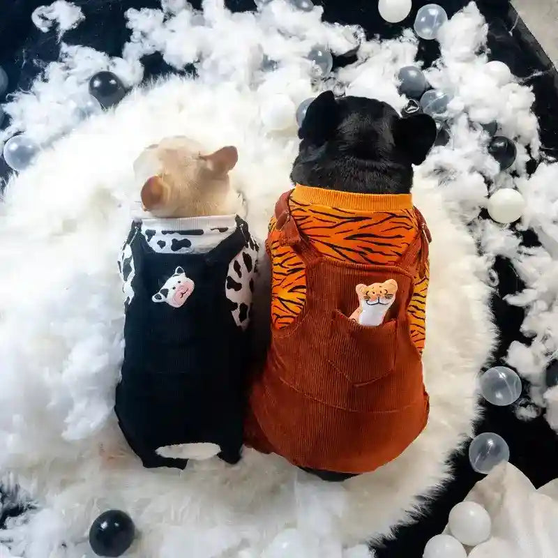 Two dogs wearing animal-print clothes lying on fluffy white surface surrounded by white and black balls