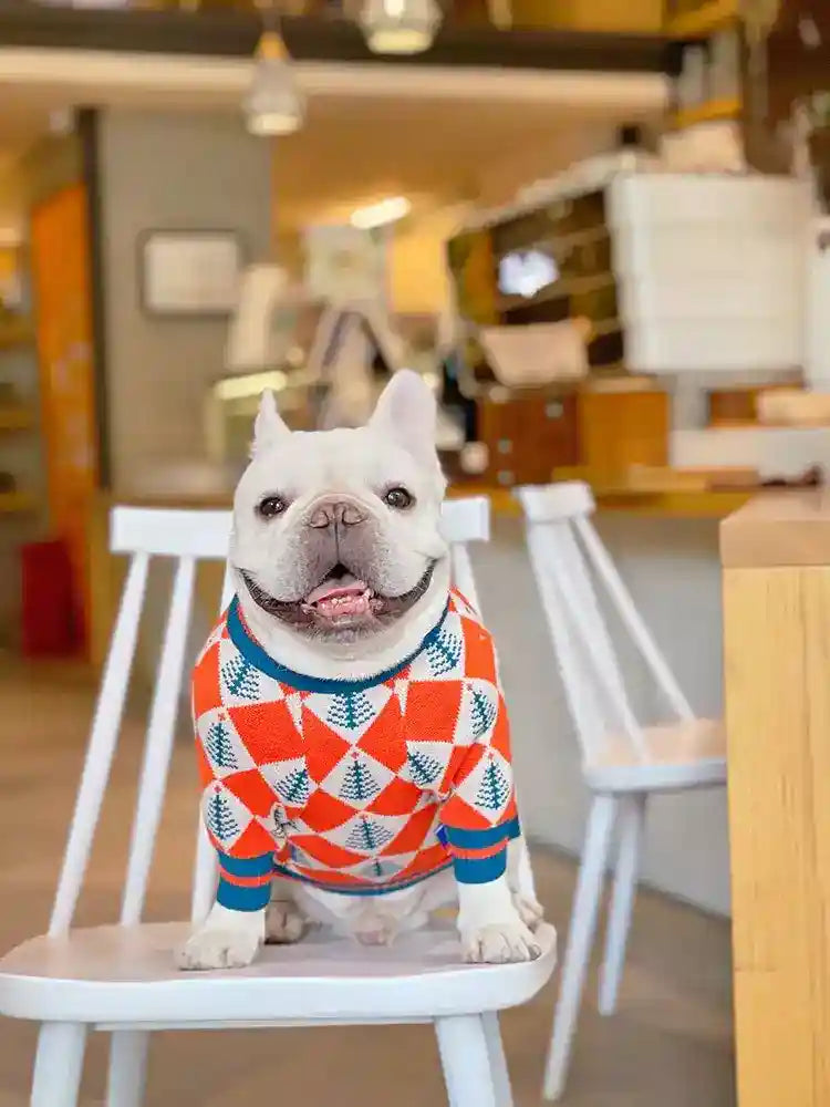 Maglioncino per Cani "Natale" – Stile Festivo e Massimo Comfort! ❄️ by Dog Moda
