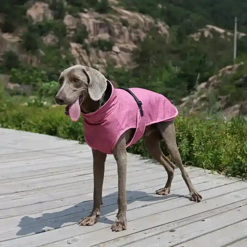 Weimaraner dog wearing a pink coat standing on a wooden path with rocky hills and greenery in the background