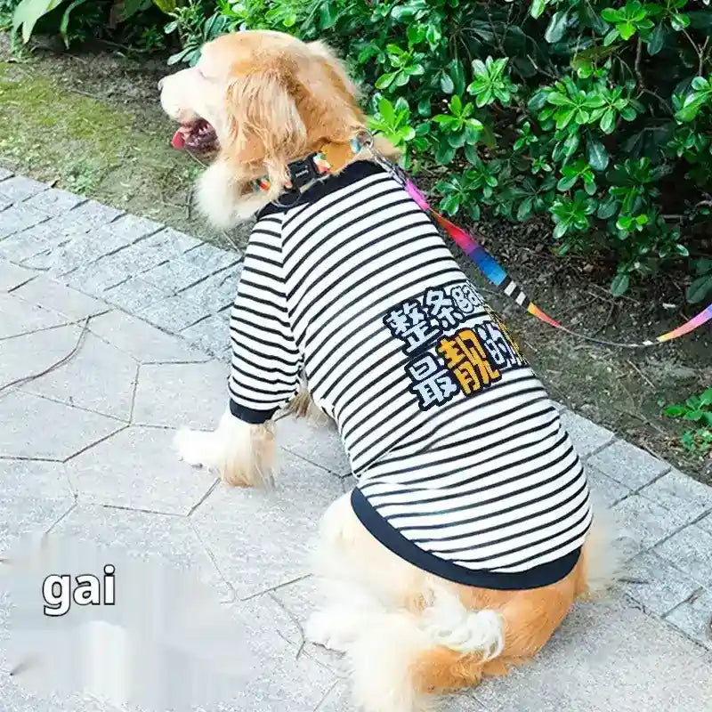 Felpa per Cani Grandi a Righe con Stampa Colorata – Stile e Comfort by Dog Moda