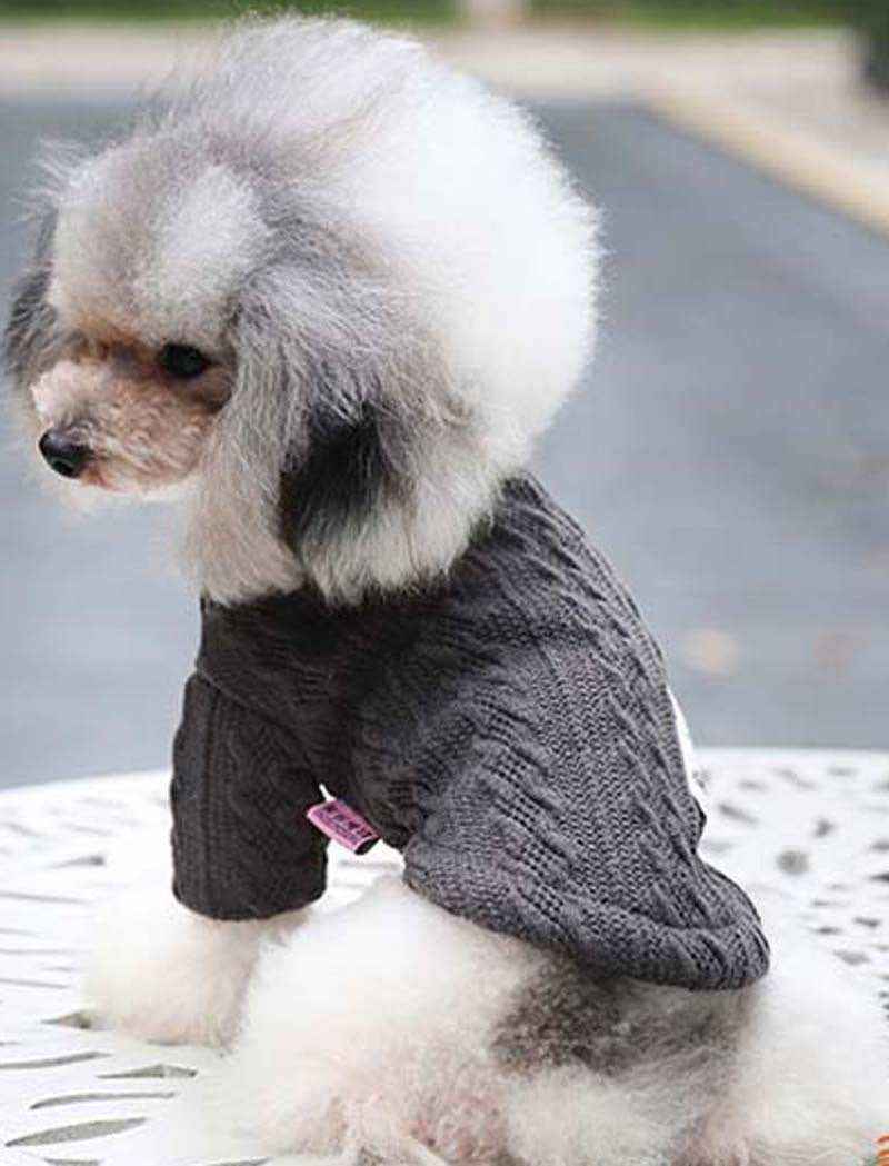 Small poodle dog wearing a gray knitted sweater sitting on a white metal table outdoors