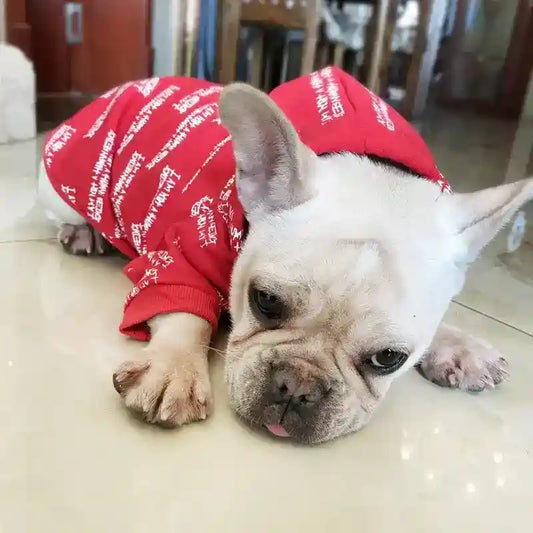 Felpa per cani con cappuccio sportivo – Comfort e stile per il tuo amico a quattro zampe by Dog Moda